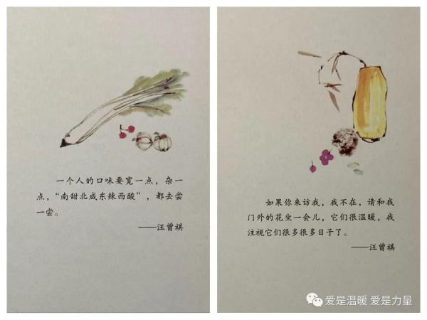 人間草木人間有味