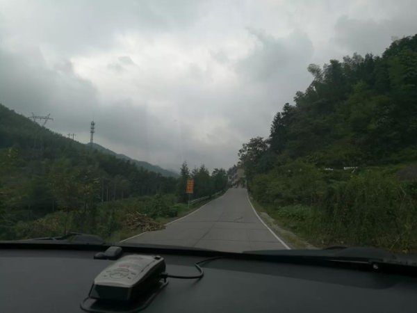 老館主|金秋瑤色